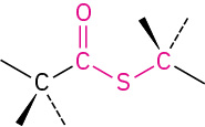 The general structure of thioester.
